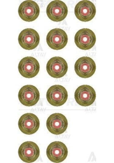 REINZ 12-36613-1 Subap Lastiği Stilo / Astra G H Astra H J Vectra C Insignia Zafira 1.6 16V 1.8 1.6 Takım