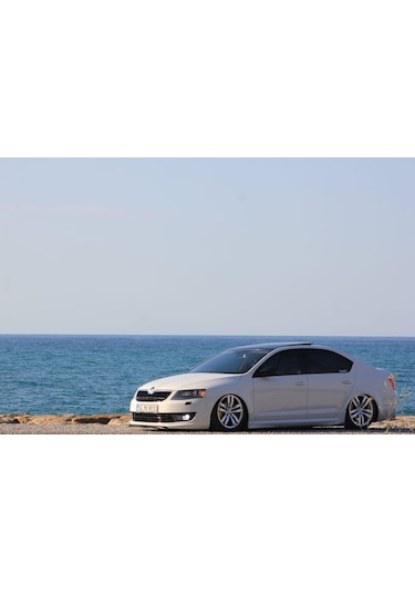 Skoda Octavia Yan Marşpiyel (Plastik)