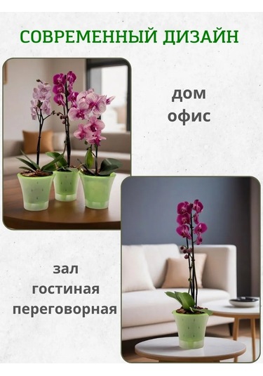 Live-in-green 2 Litre Orkide İçin Şeffaf Plastik Saksı Takımı 342131427