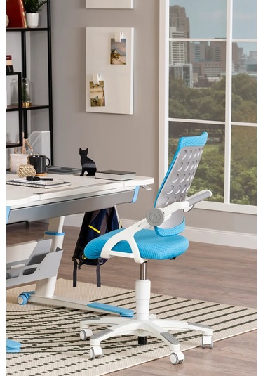 Creo Mobili Yükseklik Ve Sırt Ayarlı Sirius Çalışma Sandalyesi Ofis Ve Bilgisayar Koltuğu Mavi/mavi Gri Creo Mobili Yükseklik Ve Sırt Ayarlı Sirius Çalışma Sandalyesi Ofis Ve Bilgisayar Koltuğu Mavi/mavi Gri