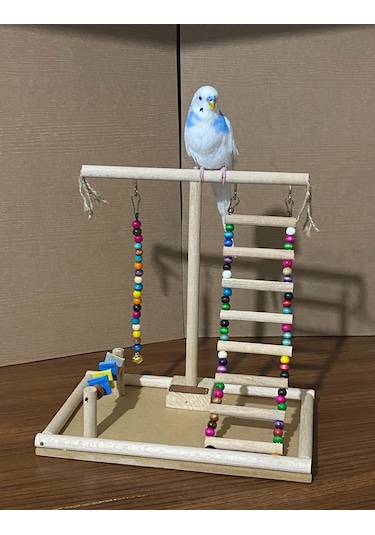 Paks Pet Kuş Oyun Parkı No:14