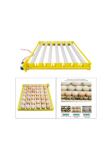 Suntek Yumurta Kuluçka Makinesi Tepsisi Otomatik Yumurta