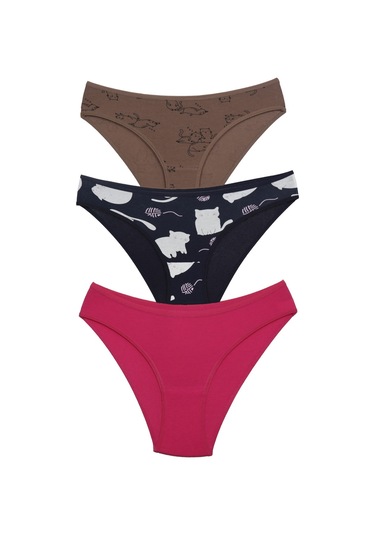 Asist Secret Magic Asm1111 Kadın 3 Lü Renkli Karışık Pamuklu Bikini Külot