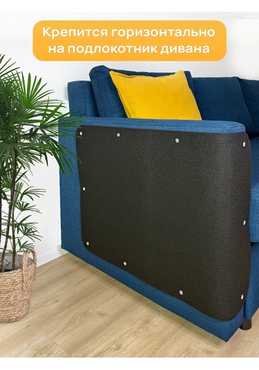 Aseliadia Kedi Kınağı - 80x50 Cm Kanepe Tipi 369698940