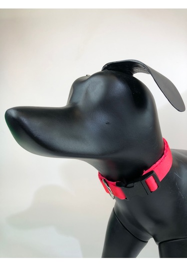 Mita Ayarlanabilir Köpek Boyun Tasması Neon Pembe