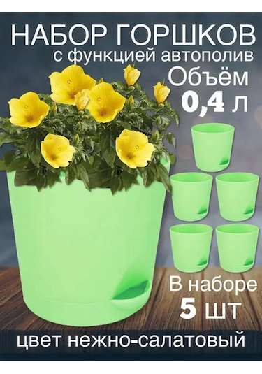 Interm Menekşe Kaktüs Fide Çiçek Saksısı Seti 123240306