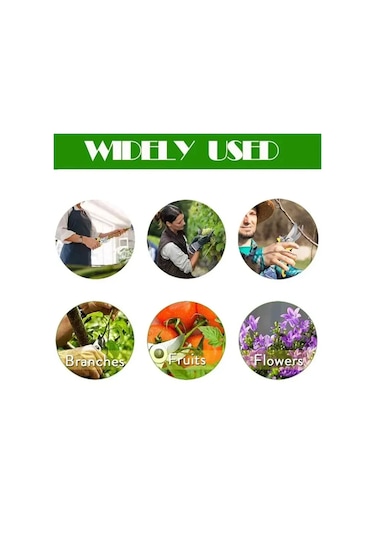 Pruner Bahçe Makası Profesyonel Keskin Bypass Budama Makası Ağaç