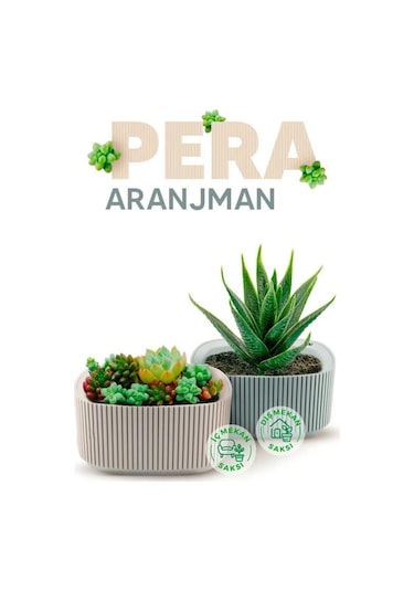 Omnipazar Krs-247 Pera Dekoratif Aranjman Kaktus Sukulent Saksı 1 Litre No 1