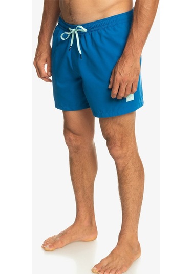 Quiksilver Everyday 15'' Erkek Yüzme Şortu 001