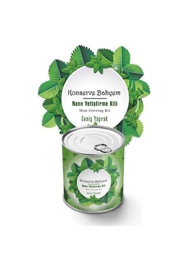 Buffer Konserve Bahçem Nane Yetiştirme Kiti Mavi