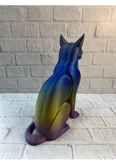Koyu Rainbow Kedi
