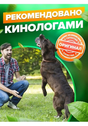 Petfort Köpekler İçin Çiğneme Oyuncağı, Süper Dayanıklı Top 168388457