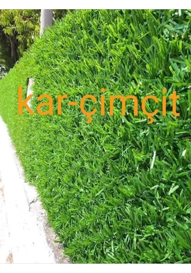 Çim Çit - Çimçit - Çimli Çit - Dekoratif Çit - Çimli Tel Çit