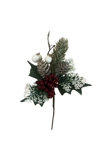 Yılbaşı Çiçeği Kokina