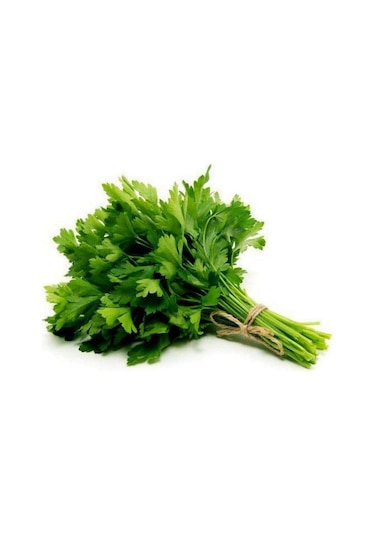 Golden Seed Maydanoz Tohumu 1 KG