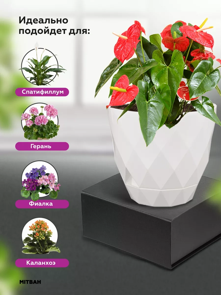 Mıtbah Çiçek Ve Bitkiler İçin Saksı Kashpo 3 Adet 2,3 Litrelik 179436423