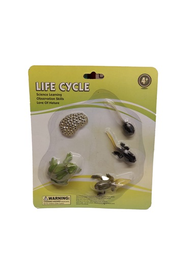 Animal World Figür Hayvanlar Biyolojik Hayat Dönüşümü Kurbağa