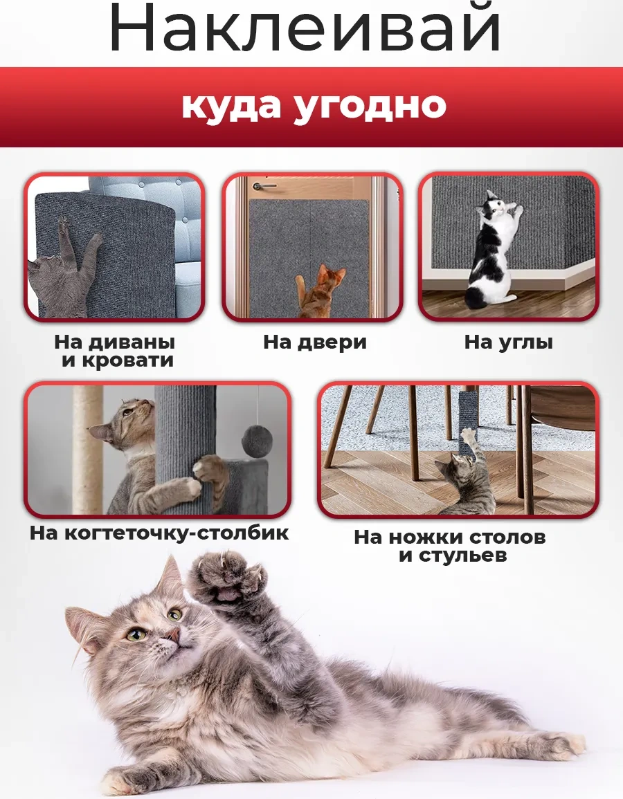 Conflate Kedi Tırmalama Tahtası Kendinden Yapışkanlı 307364957