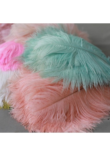 Gatherco 20-25 Cm Devekuşu Tüyleri Sahne Performansları Tüyleri El Yapımı Kendin Yap Takı Süslemeleri Devekuşu Tüyleri Gül Kırmızısı