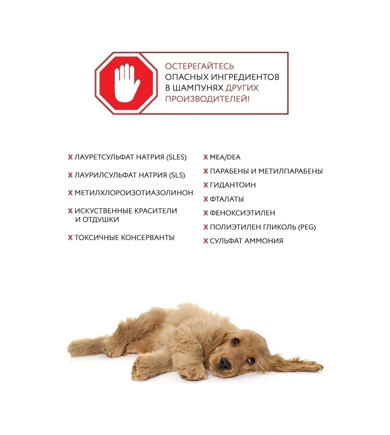 Ecozavr Sls/sles İçermeyen Yavru Köpek Ve Kediler İçin Eko Shampoo 0,5l 51300261