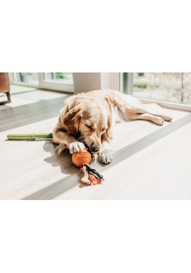 Beeztees İpli Turuncu Top Köpek Oyuncak 31,8x7,9x7,9 Cm