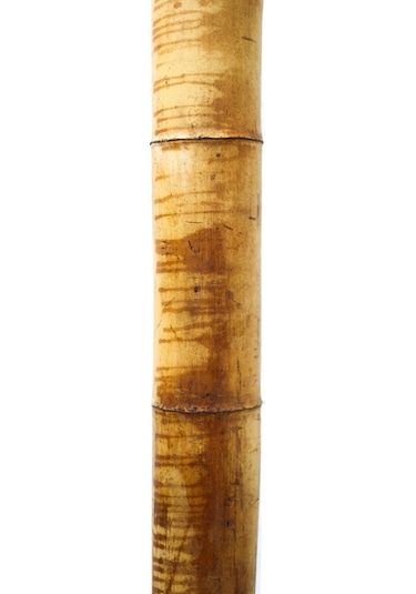 Dekoratif Bambu Xl
