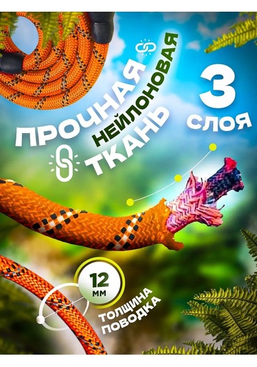 Petfort 3 M Yansıtıcı Naylon Köpek Tasması 167502168 Turuncu