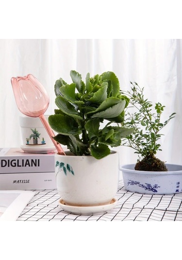 Gateesat Açık Altın Sümbül Sulama Küresi, Uzun Damlama Süresi İçin Dar Ağız Tasarımı, İç Ve Dış Mekan Bitkileri İçin