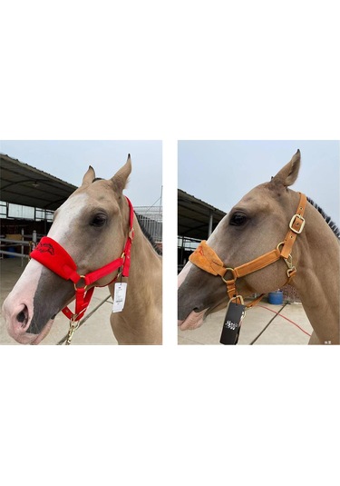 Homyl At Yuları Yastıklı Ayarlanabilir Kırmızı-m Kırmızı M