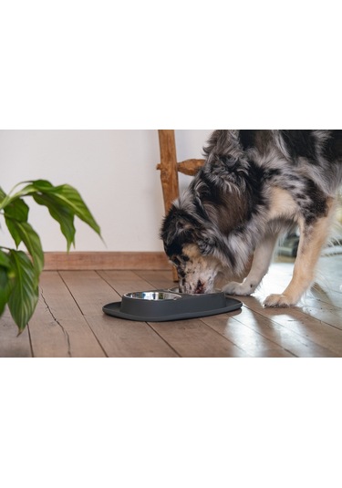 Beeztees Köpek İkili Mama Ve Su Kabı, Paslanmaz Çelik, 40x24cm, 2x500ml