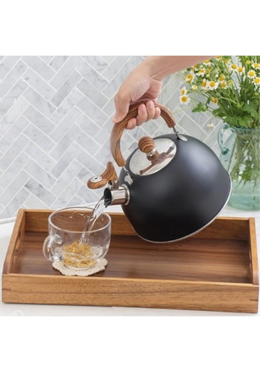 Büro Ev Ofis Yazlık İçin Siyah Paslanmaz Çelik Demlik Diğer