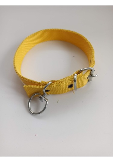 Kozaklı Orta Irk Köpek Tasması Sarı 60 x 3 CM