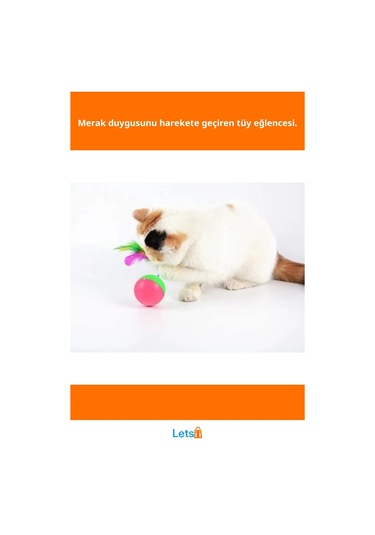 Renkli Tüy Kedi Hacıyatmaz Oyunu Eğlenceli Evcil Hayvan Oyuncağı