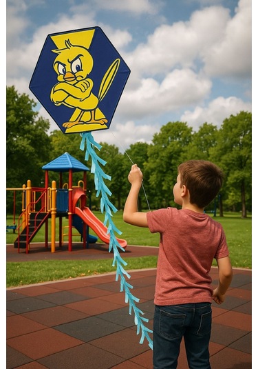 Uçurtma Altıgen Çıtalı Ipli Uçurtma Seti Kanarya Modeli