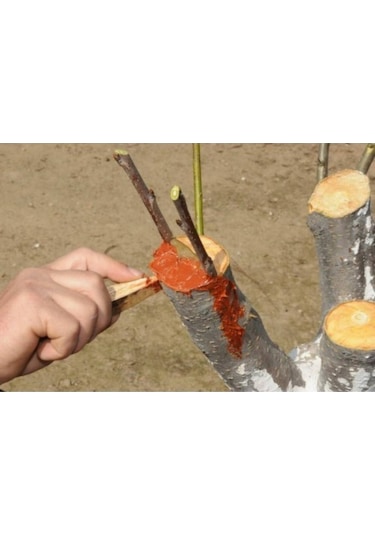 Gmt Eks Aşıve Budama Macunu 1 Kg