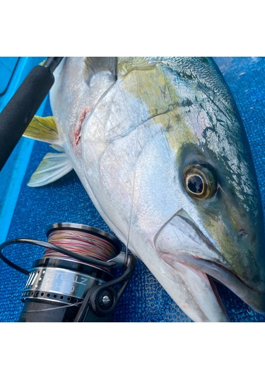 Tailwalk Stealz 14000 7+1bb Olta Makinesi