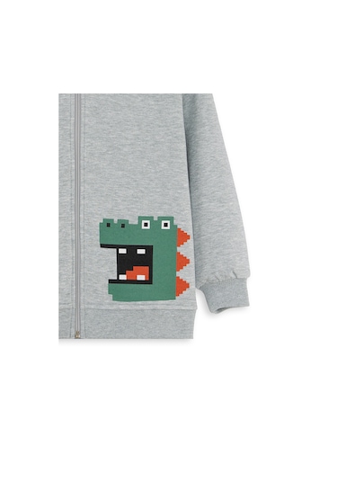 Denokids Dinozor Erkek Çocuk Fermuarlı Kapüşonlu Sweatshirt - Gri
