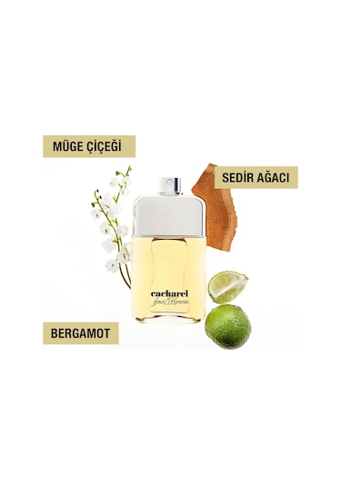 Cacharel Pour L'Homme Erkek Parfüm EDT 100 ML