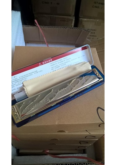 Suzuki Study 24h C Key-metal Mızıka-özel Kutu ve Bez