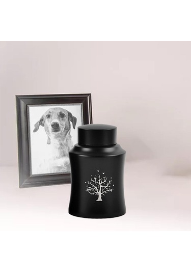 Homyl Pet Urn Kremasyon Hatıra Çömlekleri Kutusu Büyük Altın