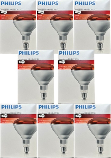 8 Adet Philips 250w Kızılötesi İnfrared Isıtıcılı Hayvan Isıtma Ve Fizik Tedavi Lambası Kırmızı Işık E27 Kalın Duy