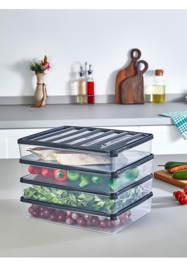 4 Adet 2500 Ml Dondurulmuş Öğünlük Et Ve Sebze Saklama Kabı