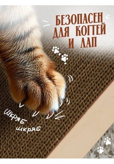 Tıme To Try Karton Tırmalama Tahtası Ve Yataklı Yerlı Kedi Ürünü 326877378