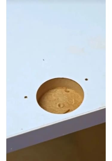 Aksworld Hands Menteşe Yeri Açma Aparatı