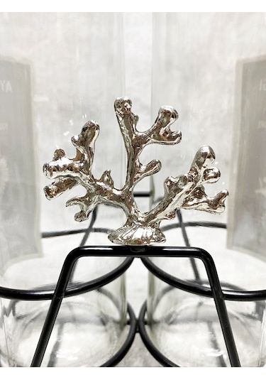 Gümüş Mercan Kısa Stant 2 Adet Şeffaf 750 Ml Etiketli Akıtıcılı Y