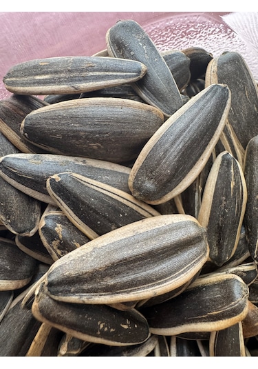 Umak Çerezlik Siyah Çiğ Ay Çekirdeği 5 KG