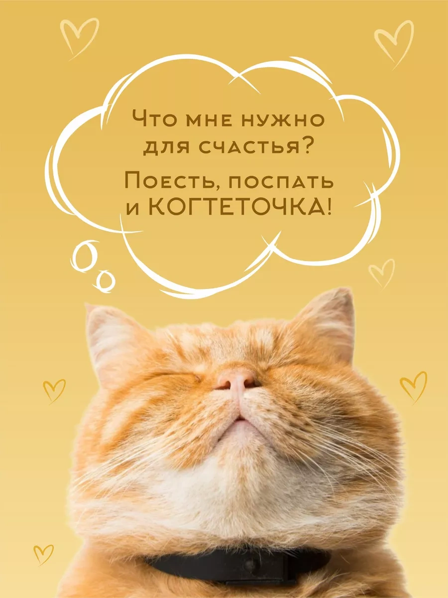 Kogtedralka Tekerleme Etkli Karton Kedi Tırmalama Tahtası, Yer Tipi Tırmalama Tahtası 23790688