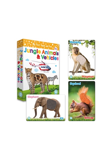Circle Toys Dokun Hisset Orman Hayvanları Ve Araçlar