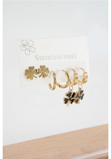 Kadın 316 L Paslanmaz Çelik Kararmaz 6'lı Küpe Seti S0032