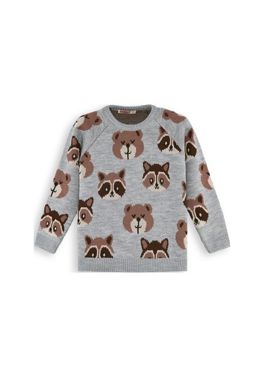 Denokids Ayı Rakun Erkek Çocuk Gri Triko Kazak Renkli